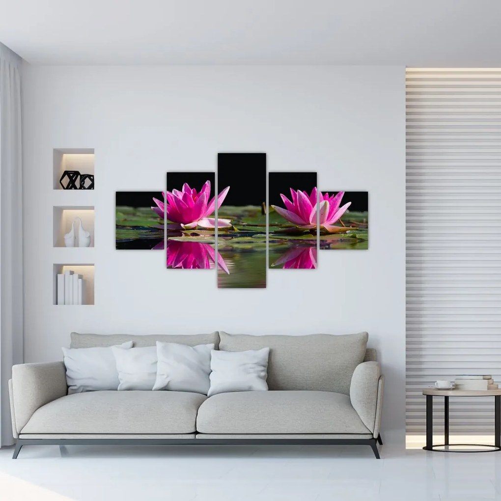 Obraz lilii wodnych na wodzie (125x70 cm)