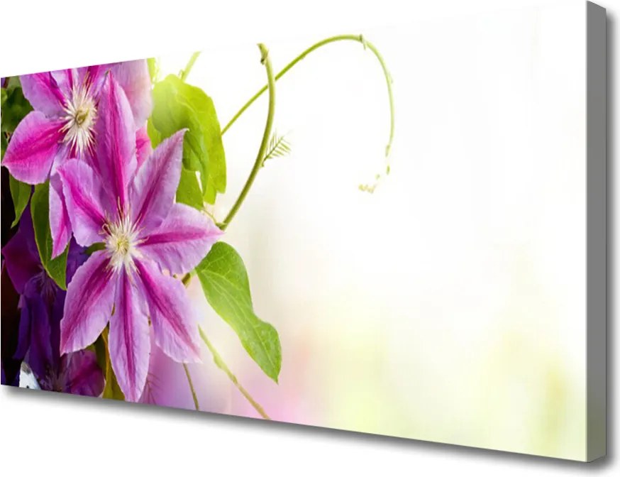 Obraz canvas Naturalna Kompozycja Florystyczna