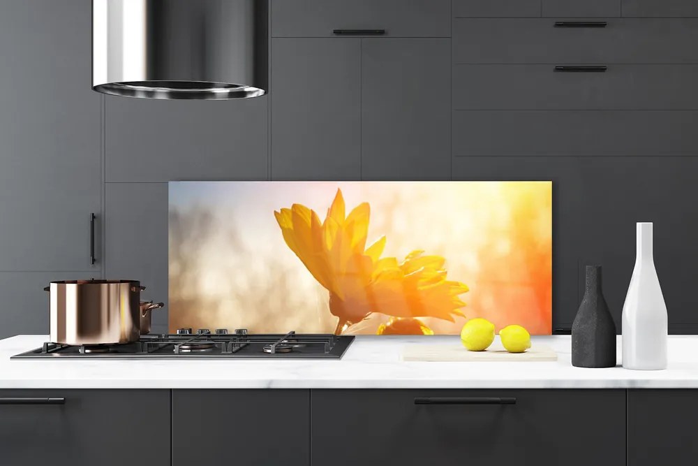 Szkło do Kuchni na Ścianę Złoty Słonecznik W Słońcu