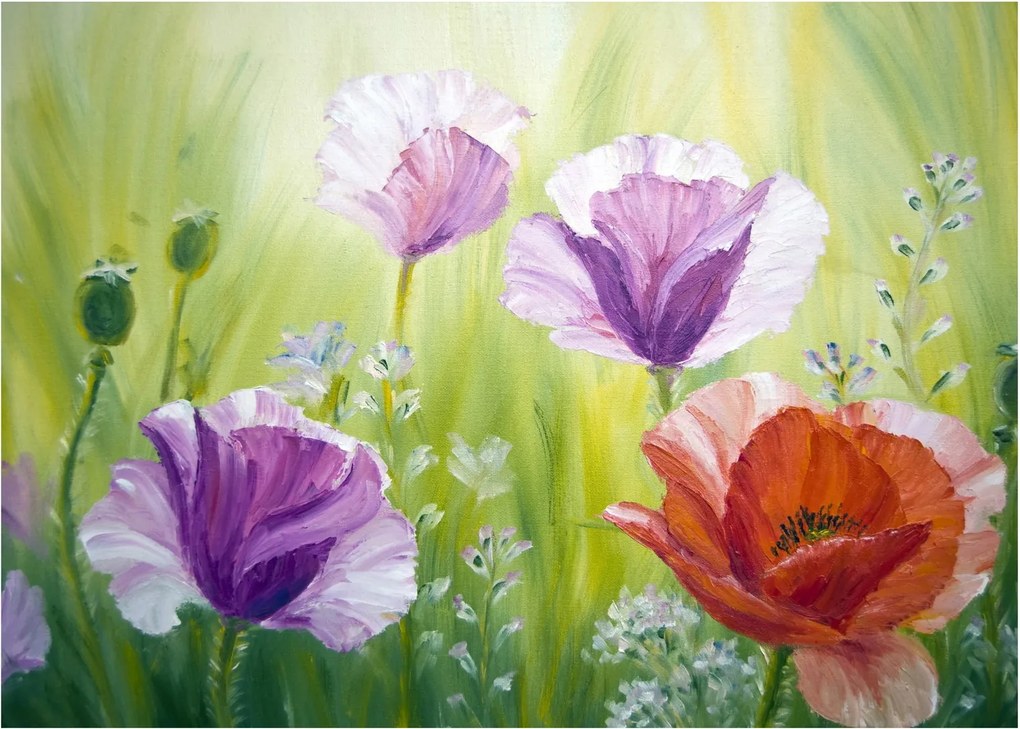 Obraz - Maki (70x50 cm)