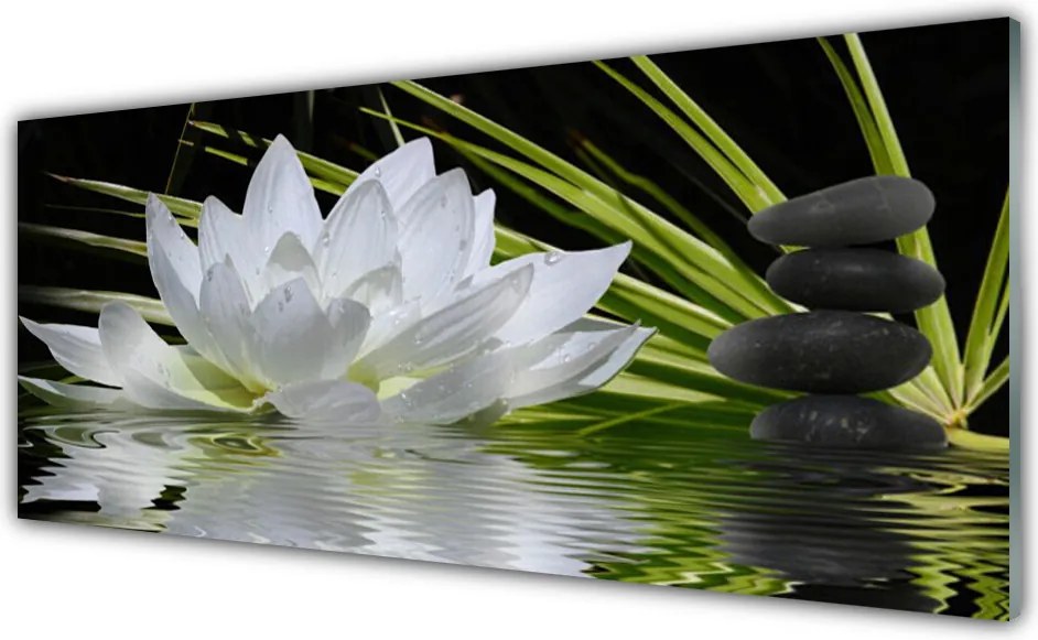 Panel Szklany do Kuchni Harmonijne Lilie na Stawie