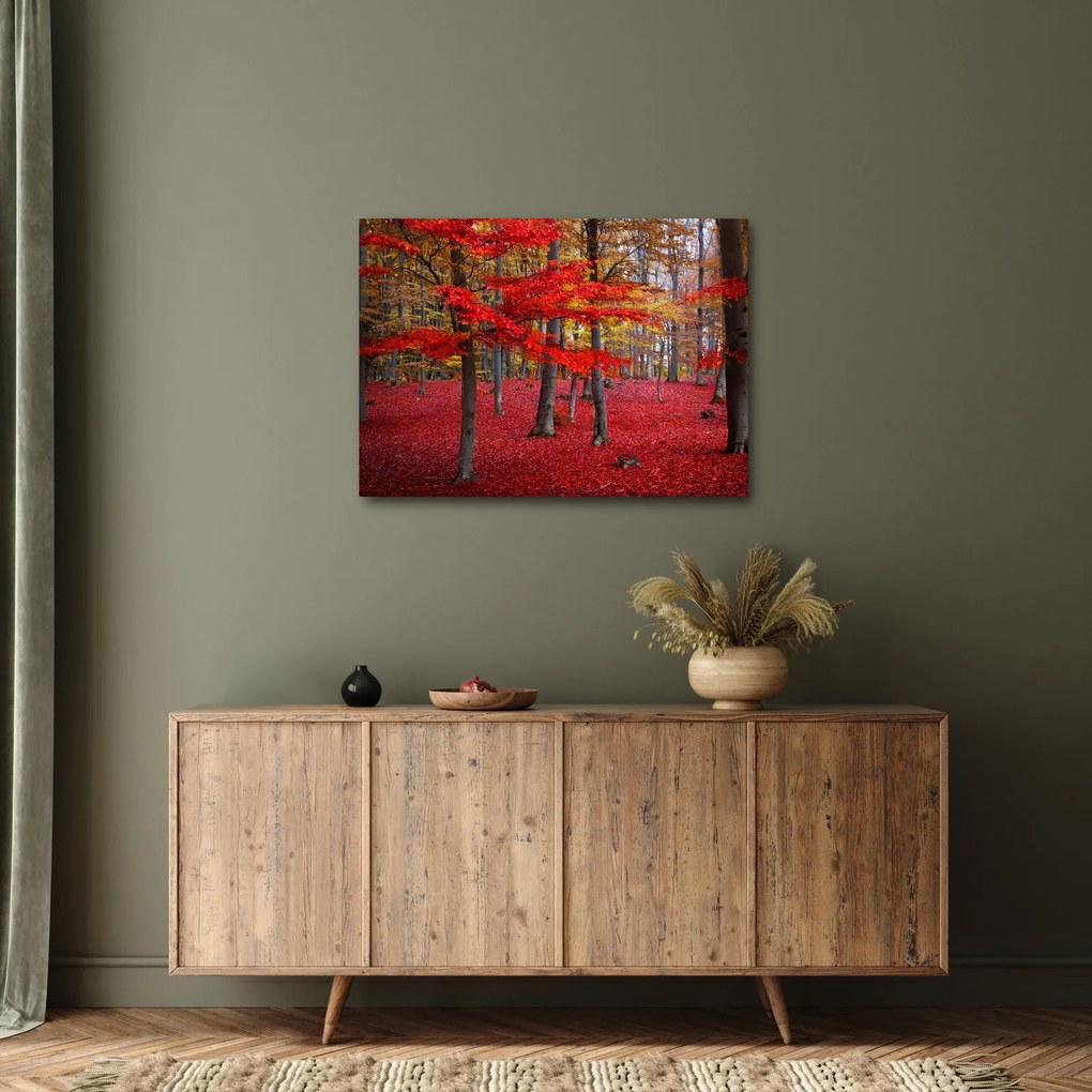 Obraz - Czerwony Las (70x50 cm)