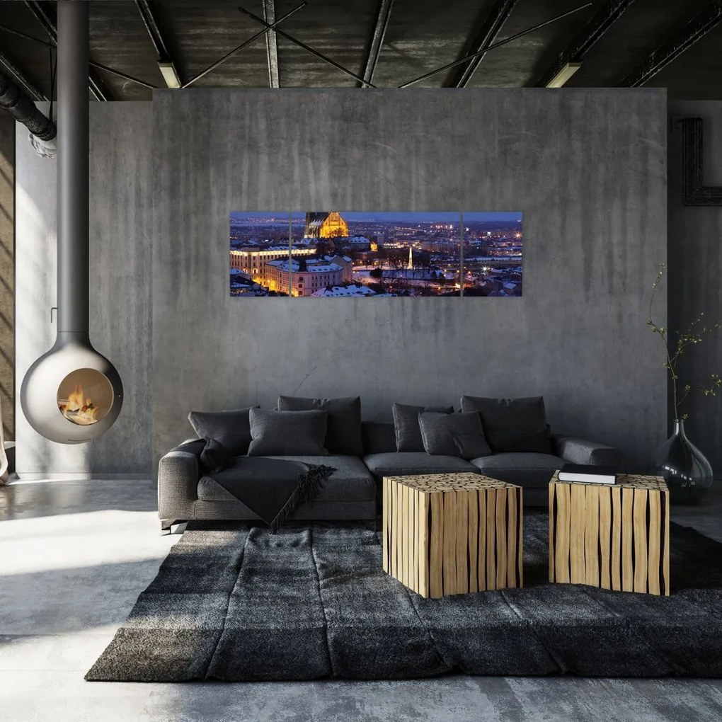 Obraz - Katedra św. Piotra i Pawła, Brno, Czechy (170x50 cm)