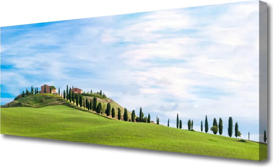 Zdjęcie na płótnie Samotne Drzewo na Polanie