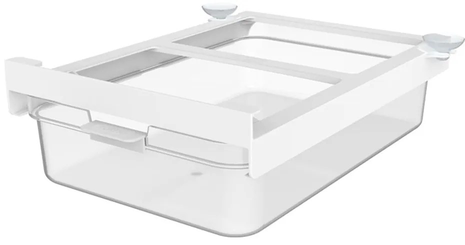 Plastikowy organizer do lodówki 29x22 cm Cauma – Rotho