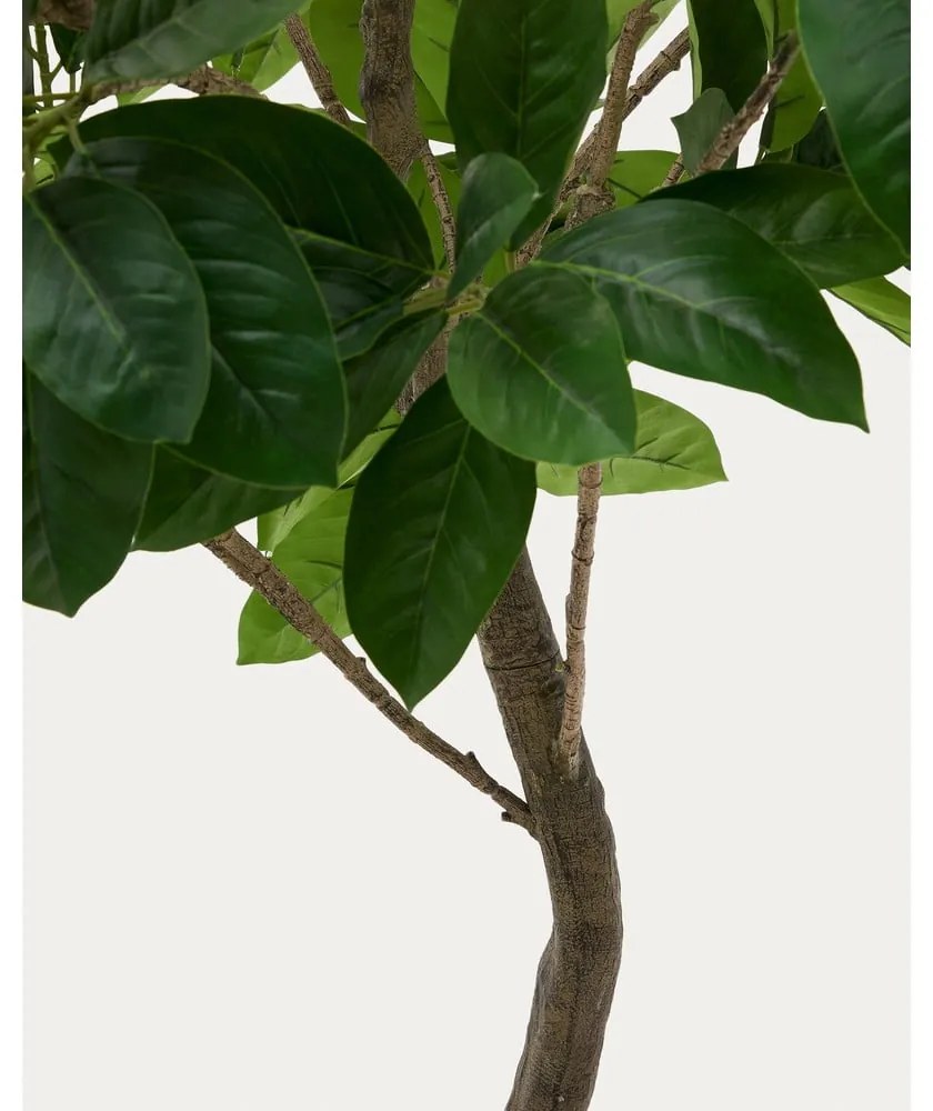 Sztuczny fikus (wysokość 210 cm) Ficus – Kave Home