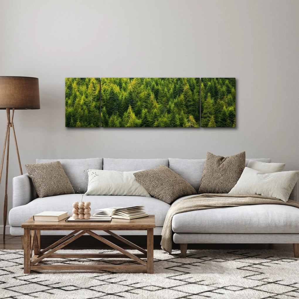 Obraz - Gęsty las (170x50 cm)