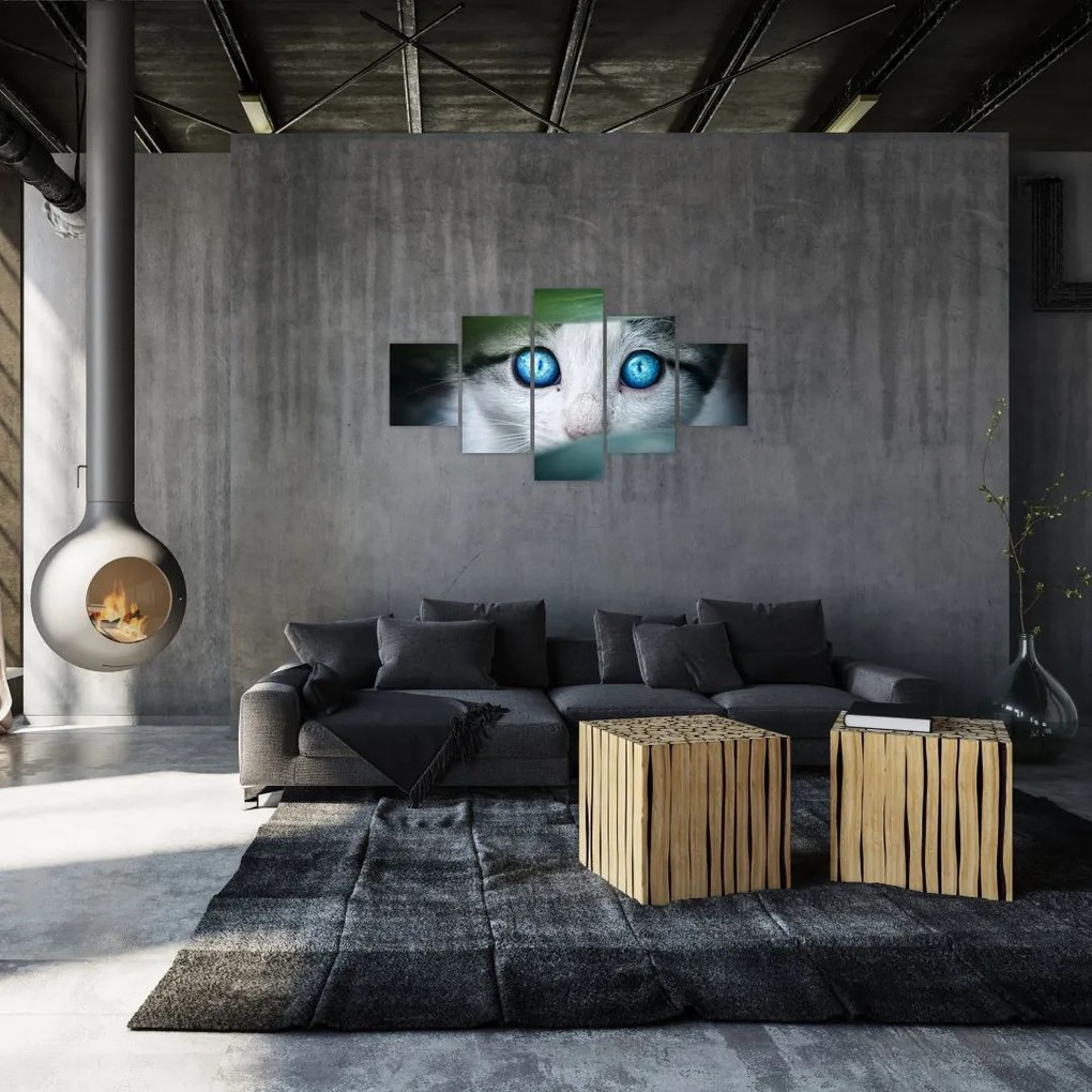Obraz kota (125x70 cm)