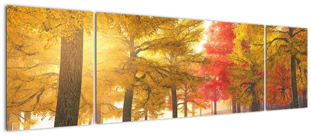 Obraz jesiennych drzew (170x50 cm)