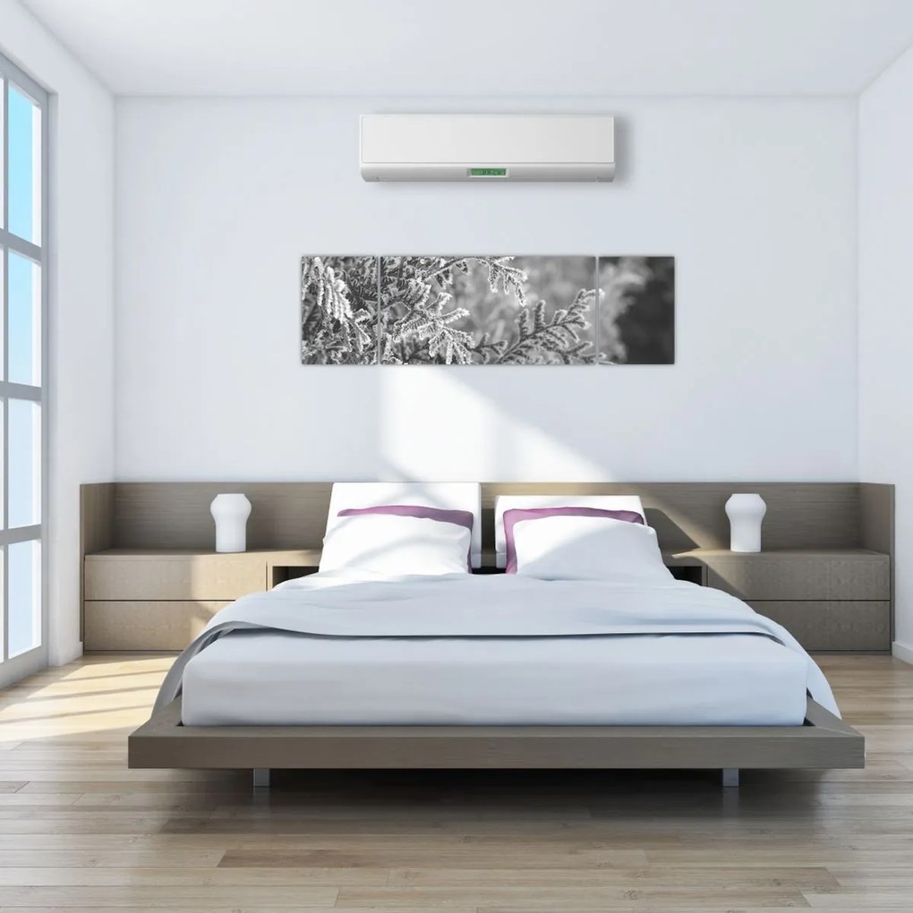 Obraz - Las świerkowy (170x50 cm)