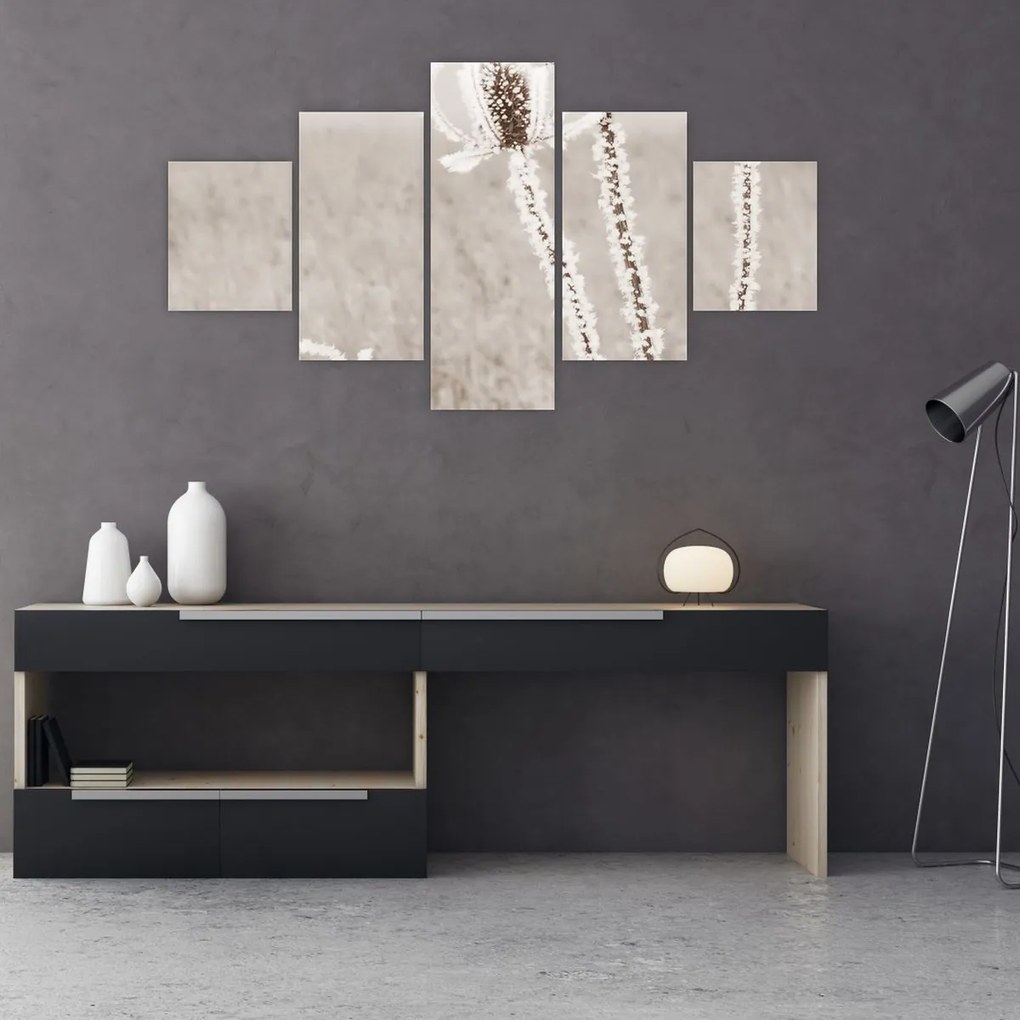 Obraz - Oset w zimie (125x70 cm)