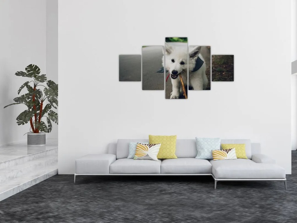 Obraz białego psa (125x70 cm)