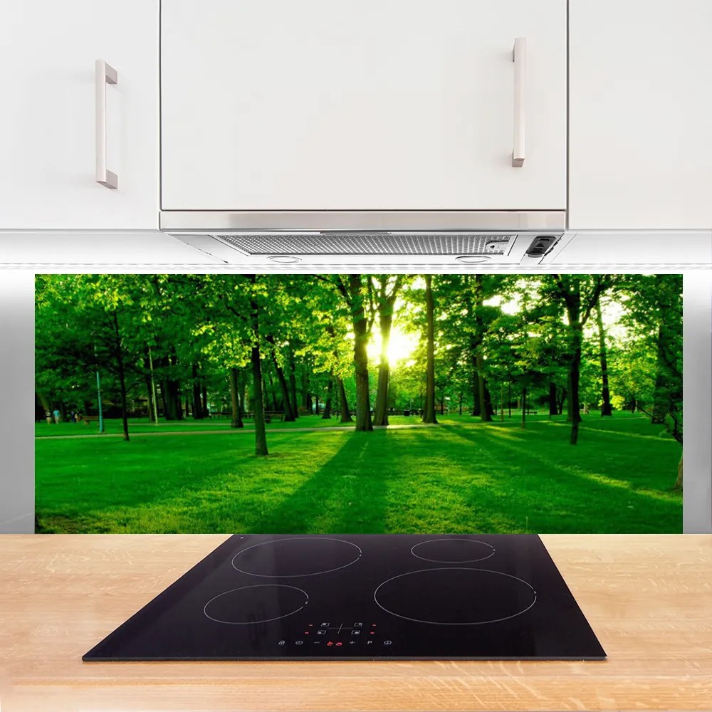 Szkło do Kuchni na Ścianę Parkowe Alejki W Słońcu