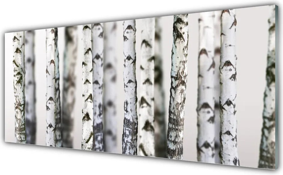 Panel Szklany Gęsta Korona Drzew