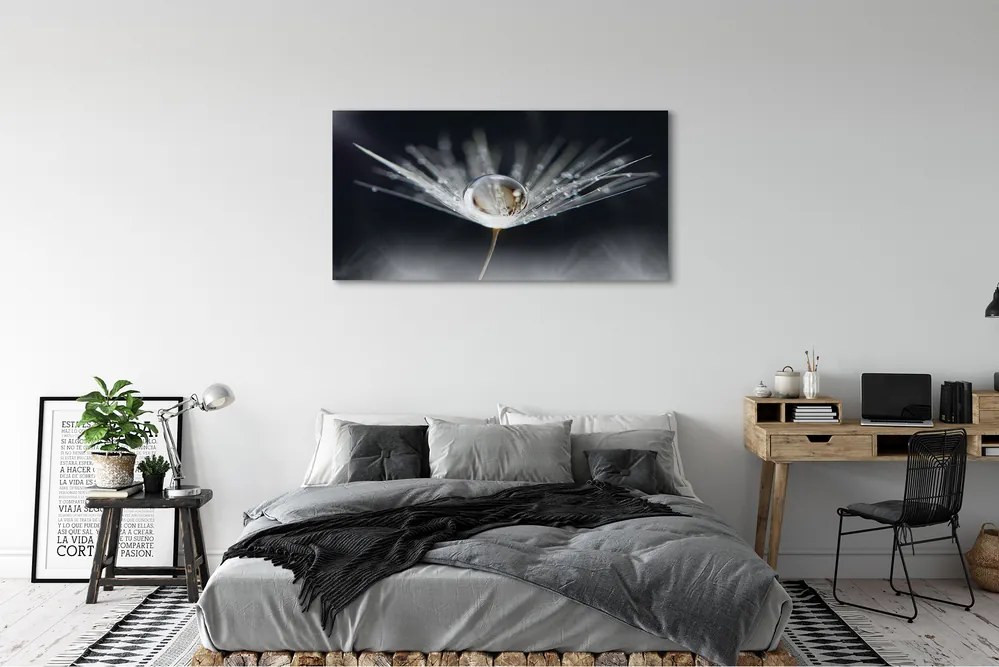 Obraz drukowany na płótnie Kryształowy Dmuchawiec w Makro