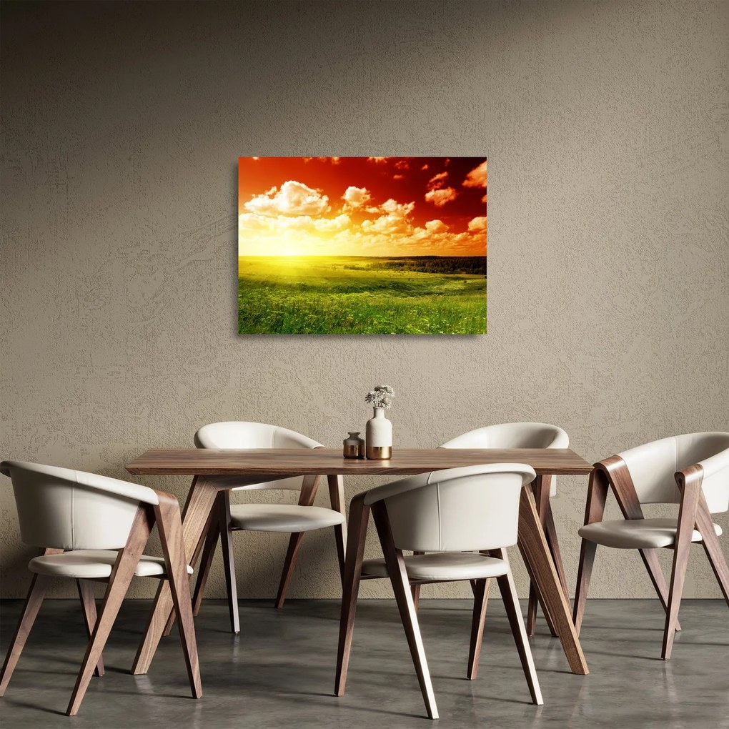 Obraz na szkle - letnia łąka (70x50 cm)