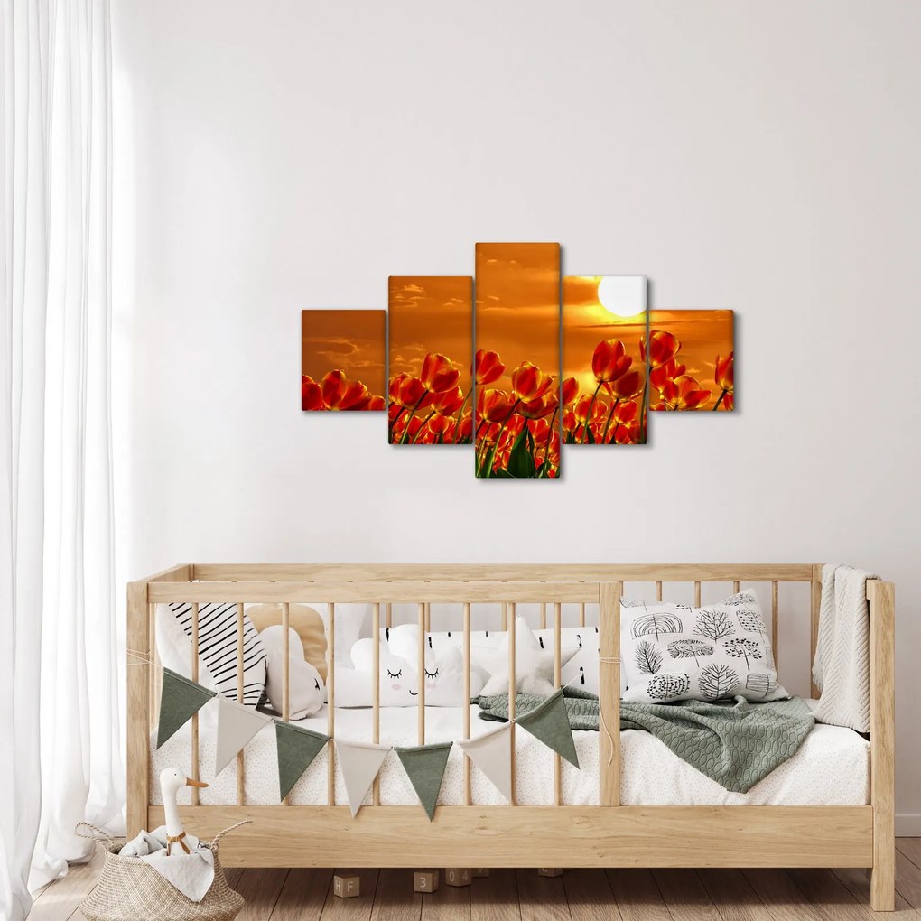 Obraz kwitnącego pola z tulipanami (125x70 cm)