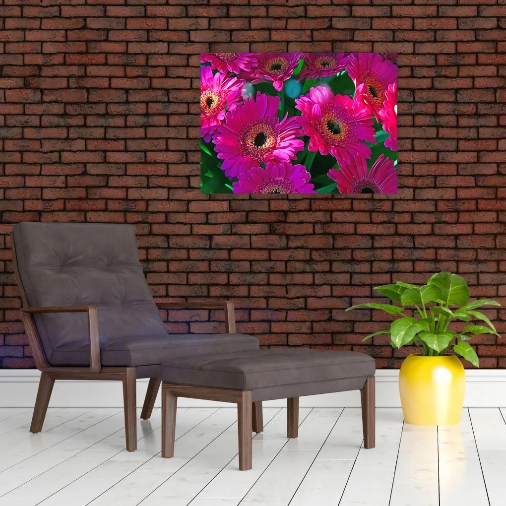 Obraz na szkle - kwiaty (70x50 cm)