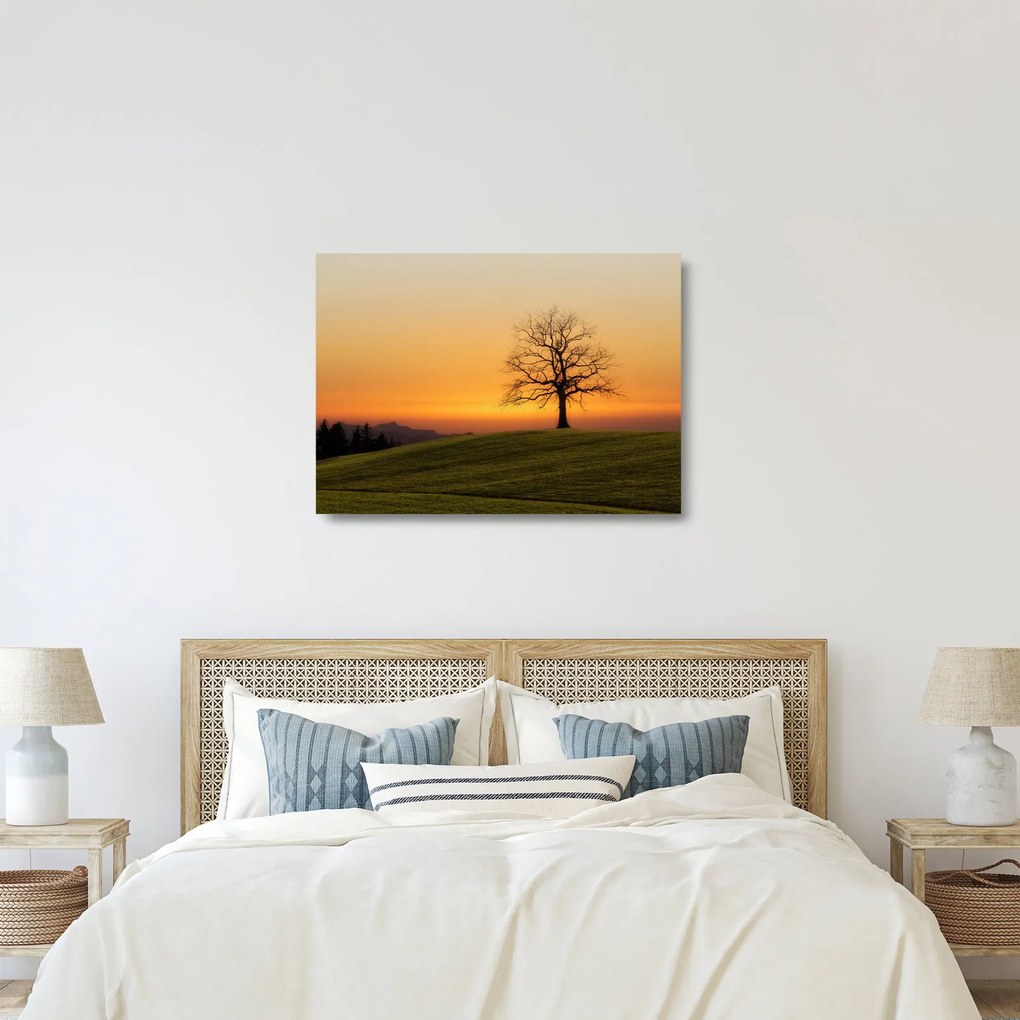 Obraz na szkle - zachód słońca na łące (70x50 cm)