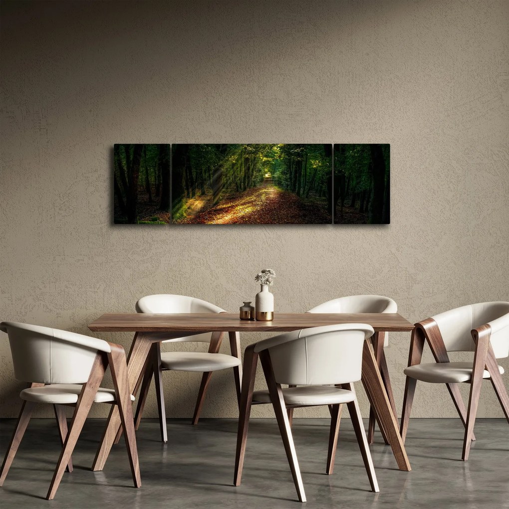 Obraz leśnej ścieżki (170x50 cm)