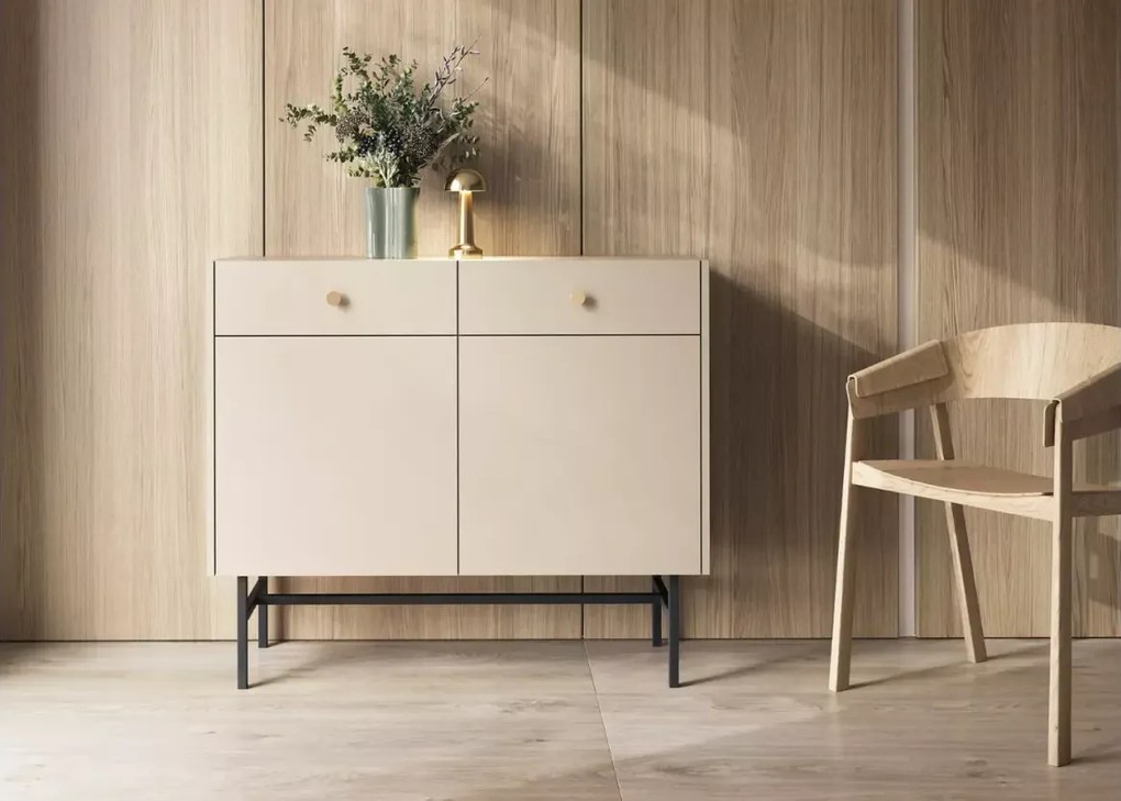Alderia 2D2S – nowoczesna komoda do salonu i sypialni, dostępna w 2 kolorach