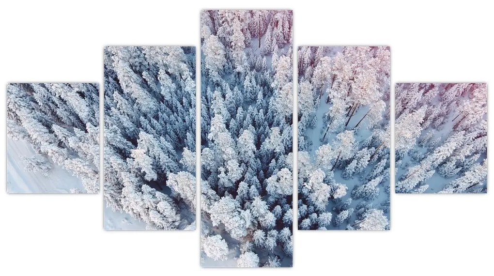 Obraz ośnieżonych drzew (125x70 cm)