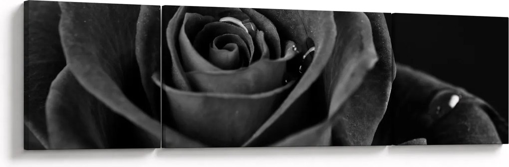 Obraz - Czerwona róża (170x50 cm)
