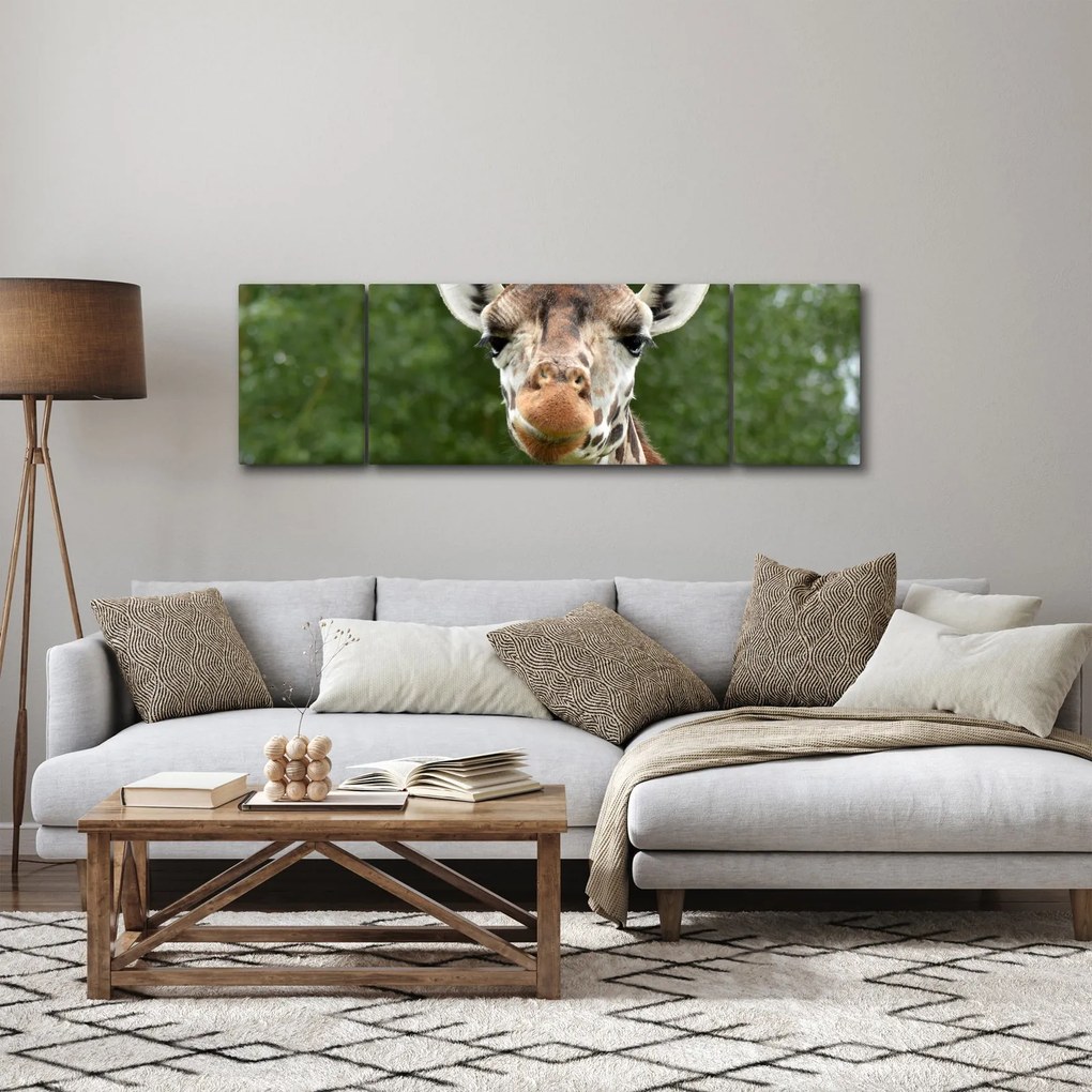 Obraz żyrafy (170x50 cm)
