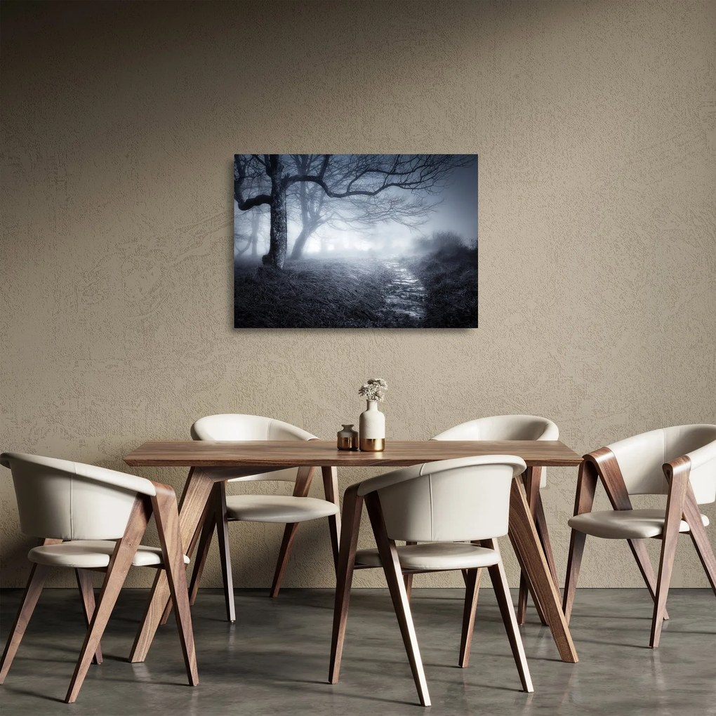 Obraz na szkle- Droga we mgle (70x50 cm)