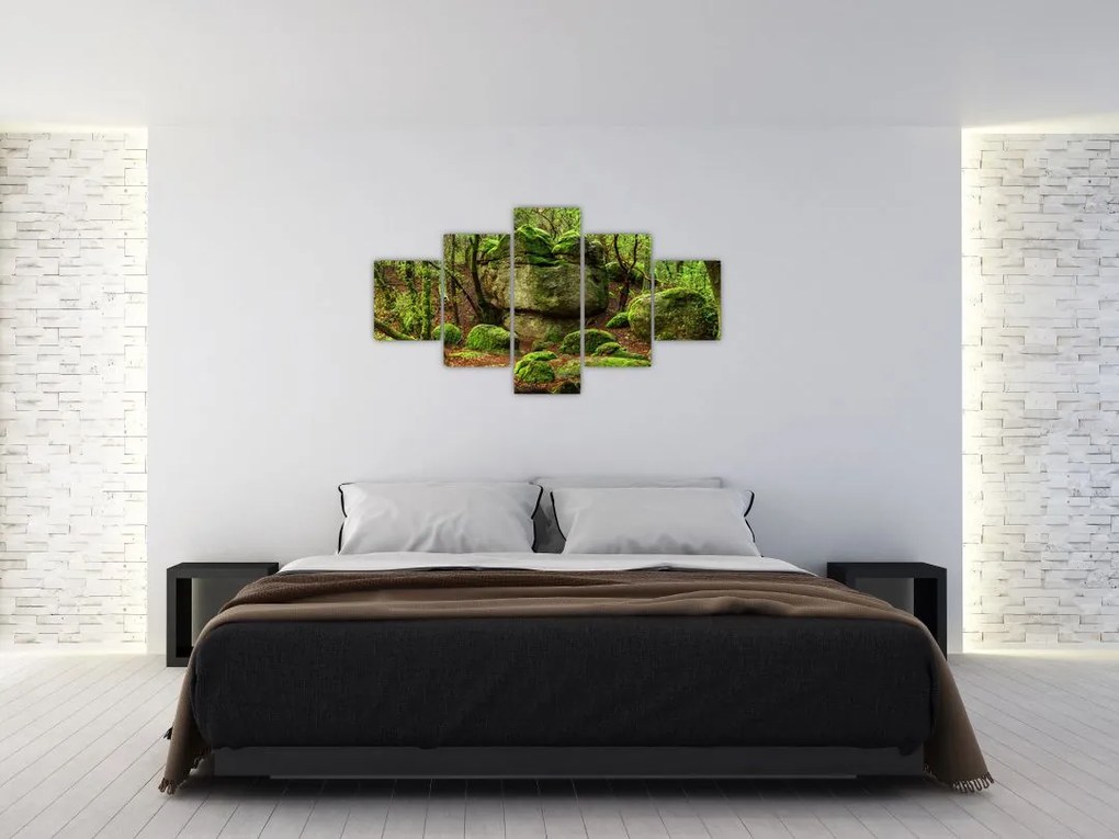 Obraz magicznego lasu (125x70 cm)