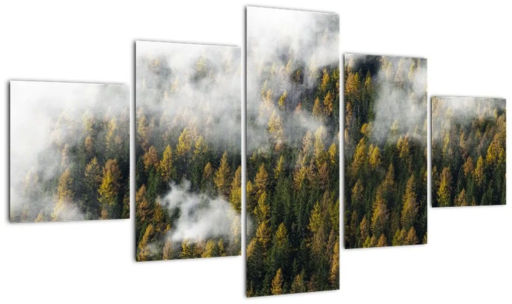 Obraz lasu w chmurach (125x70 cm)