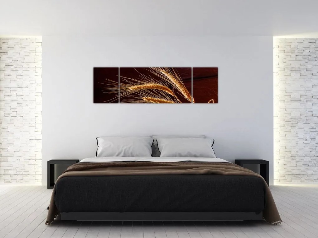 Obraz - Fragment kłosa żyta (170x50 cm)