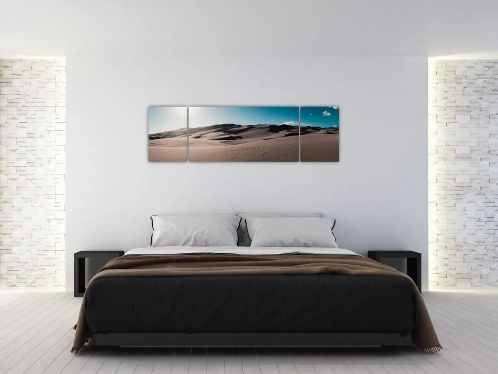 Obraz - Z pustyni (170x50 cm)