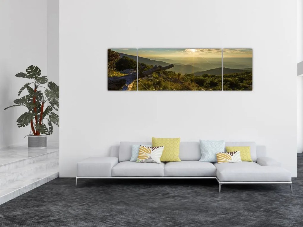 Obraz - Widok na otoczenie (170x50 cm)