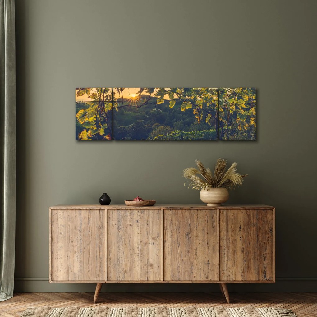 Obraz - Winnica (170x50 cm)