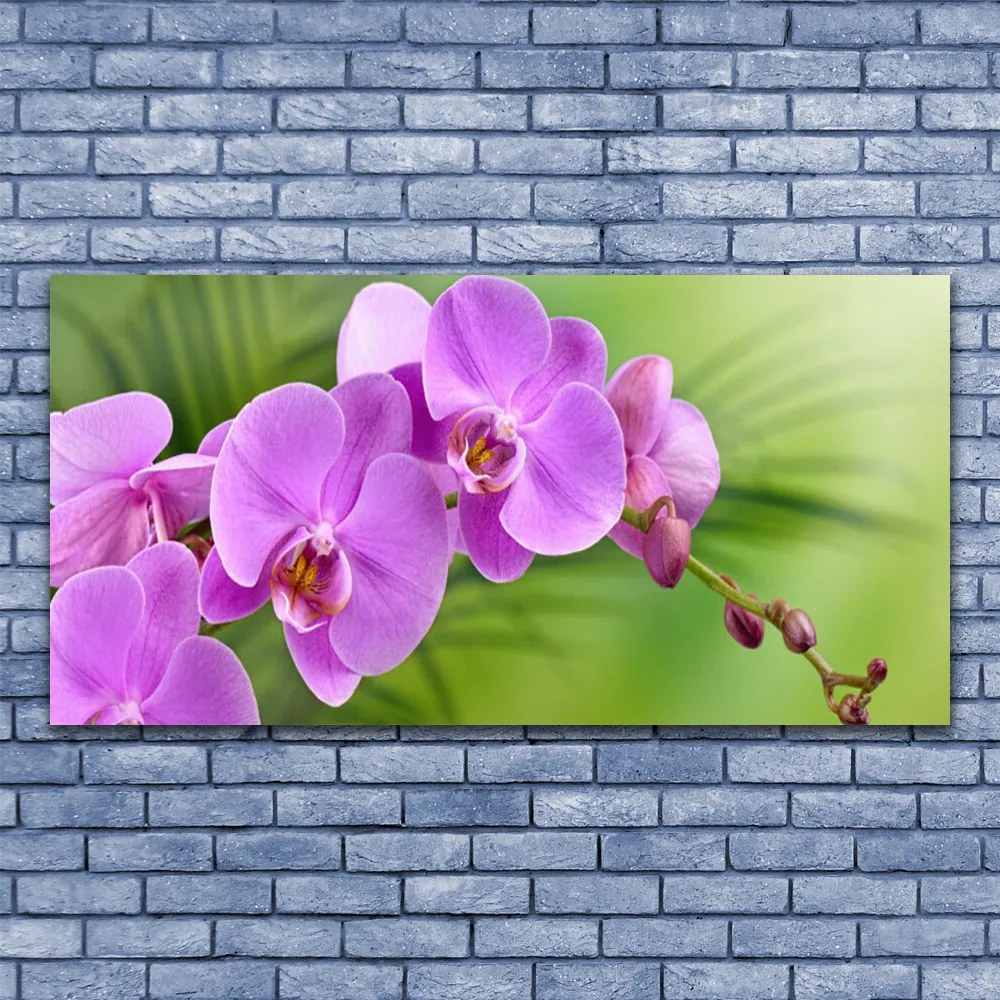 Obraz Canvas Storczyk Orchidea Kwiaty