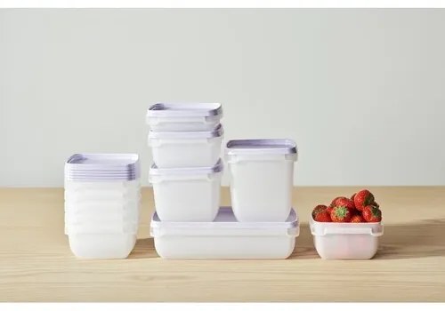 SmartStore Zestaw pojemników plastikowych Freezer 5 szt., lawenda, 500 ml, 500 ml