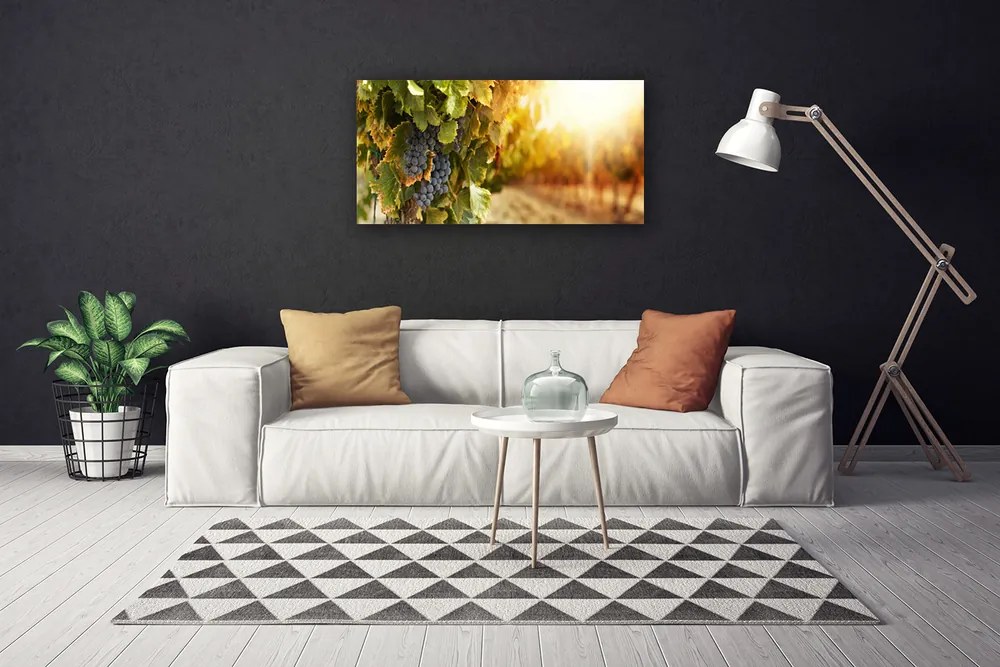 Obraz drukowany na płótnie Winna Winorośl w Detalu