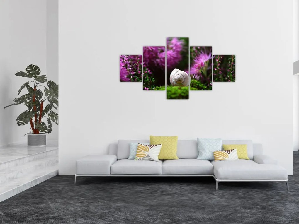 Obraz - Muszla ślimaka (125x70 cm)
