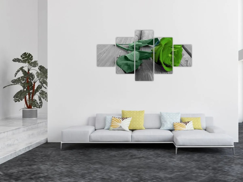 Obraz - Zielona róża (125x70 cm)