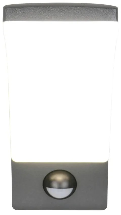 Zewnętrzna lampa ścienna LED (wysokość 22,5 cm) Beja – Trio