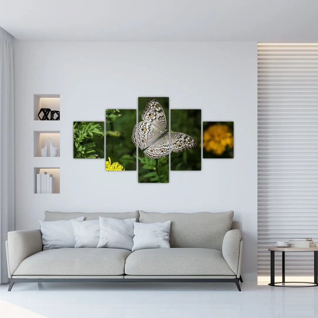 Obraz - biały motyl (125x70 cm)