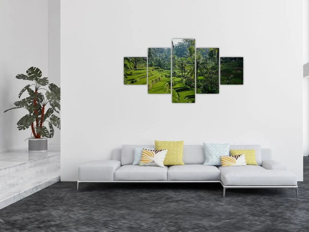 Obraz tarasów ryżowych Tegalalang, Bali (125x70 cm)