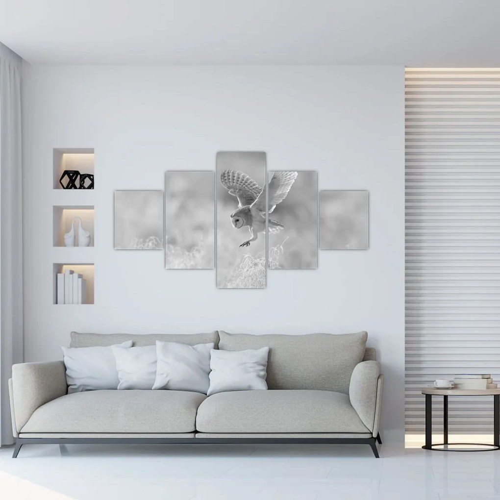 Obraz - Sowa, czarno - biały (125x70 cm)