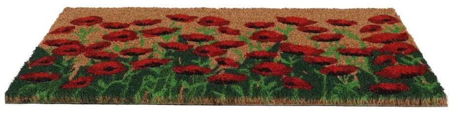 Wycieraczka z włókna kokosowego 40x60 cm – Esschert Design