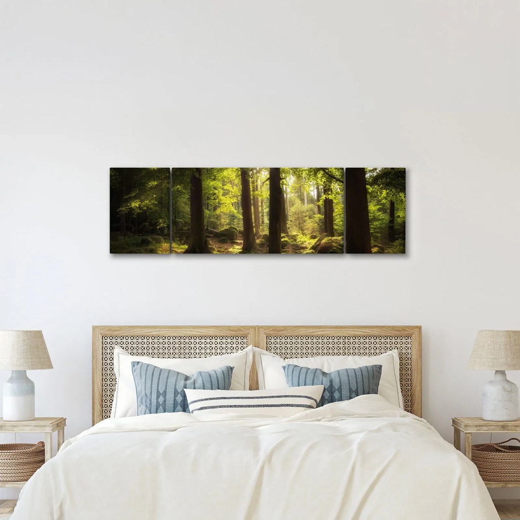 Obraz sennego lasu (170x50 cm)
