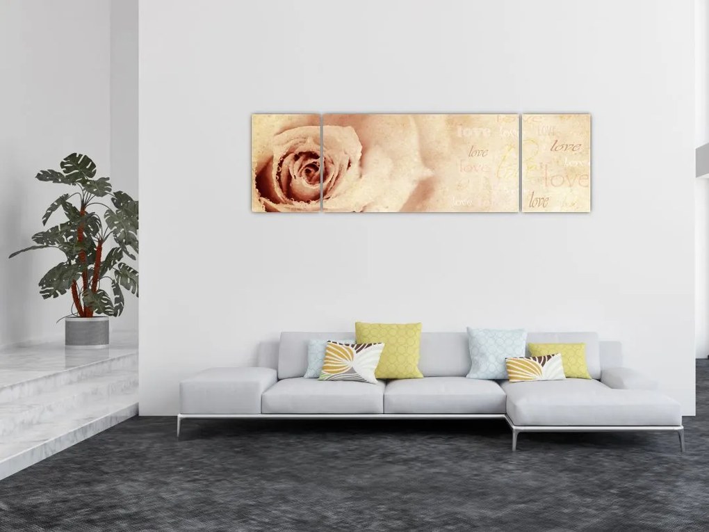 Obraz - Kwiat róży dla zakochanych (170x50 cm)