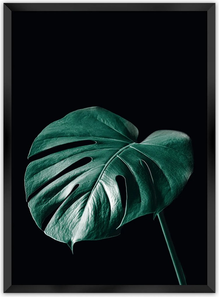 Plakat Dark Monstera