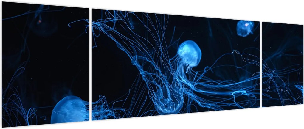 Obraz - Meduza (170x50 cm)