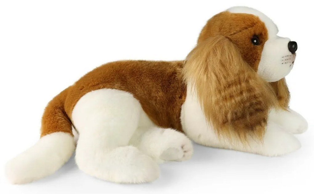 Rappa Pluszowy pies Cavalier King Charles Spaniel 40 cm ECO - PRZYJAZNY